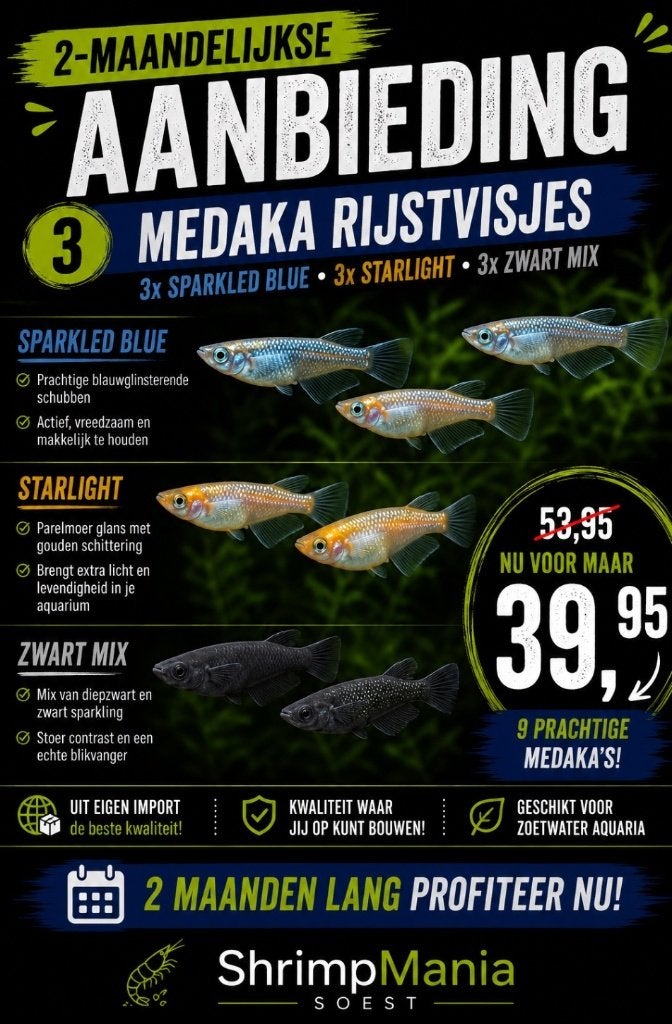 Aanbieding: Medaka (vijver) visjes 9 stuks in de mix, Overige soorten