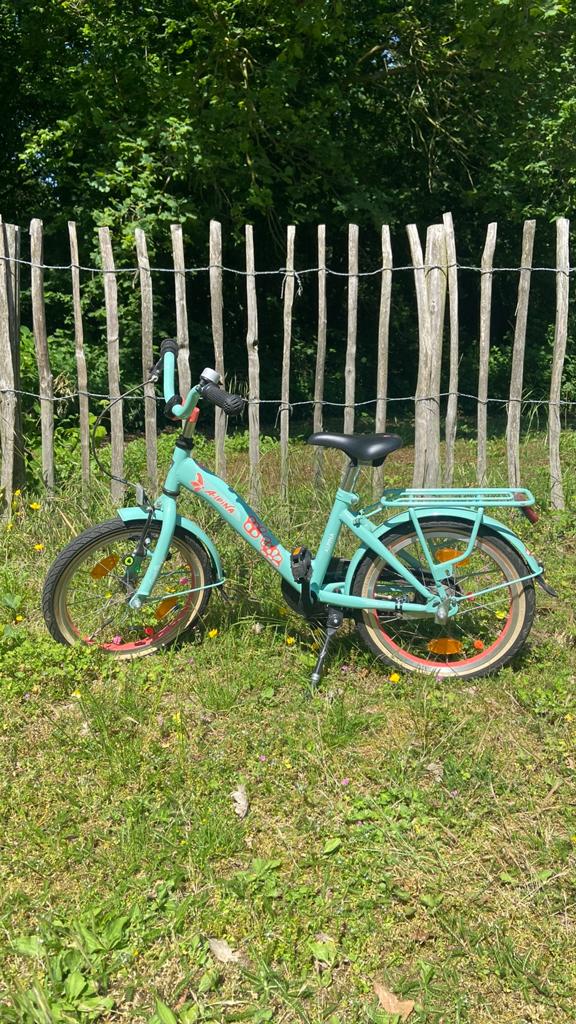 Alpina kinderfiets, Ophalen, Zo goed als nieuw, 16 inch