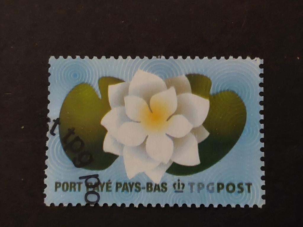 Nederland - Port Betaald TPG Post, Ophalen of Verzenden