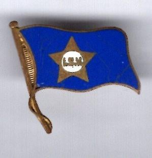 L.S.V. US air force email op koper vlag broche ( W_473 ), Verzenden, Nieuw, Stad of Land, Speldje of Pin