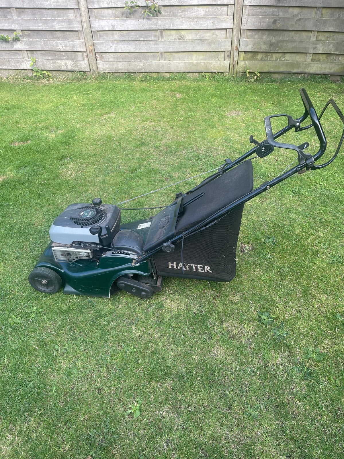 Hayter Harrier 41 grasmaaier - Benzine, 41 cm maaibreedte, Ophalen, Cirkelmaaier, Gebruikt, 40 t/m 49 cm