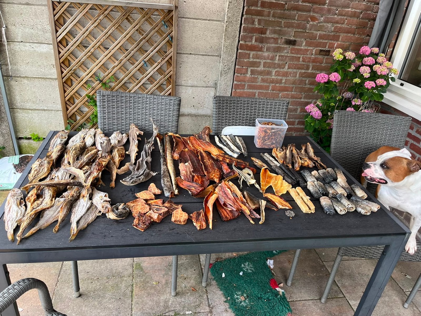 Mixdozen vissnack voor de hond, direct vanaf de producent!, Dieren en Toebehoren, De riepel 12, 8321mr, Urk, Overige merken, Petsfish bv