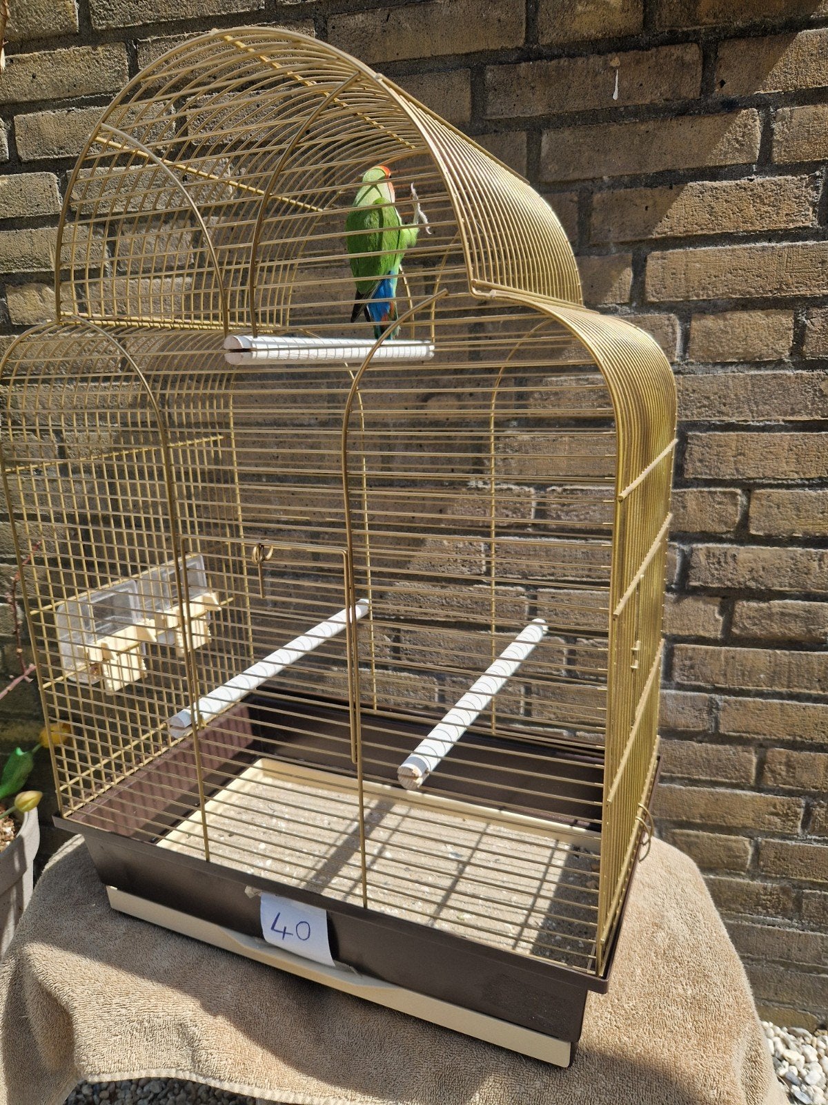 vogelkooi kooi grasparkieten parkiet agapornis, Dieren en Toebehoren, Ophalen of Verzenden, Zo goed als nieuw, Metaal, Vogelkooi