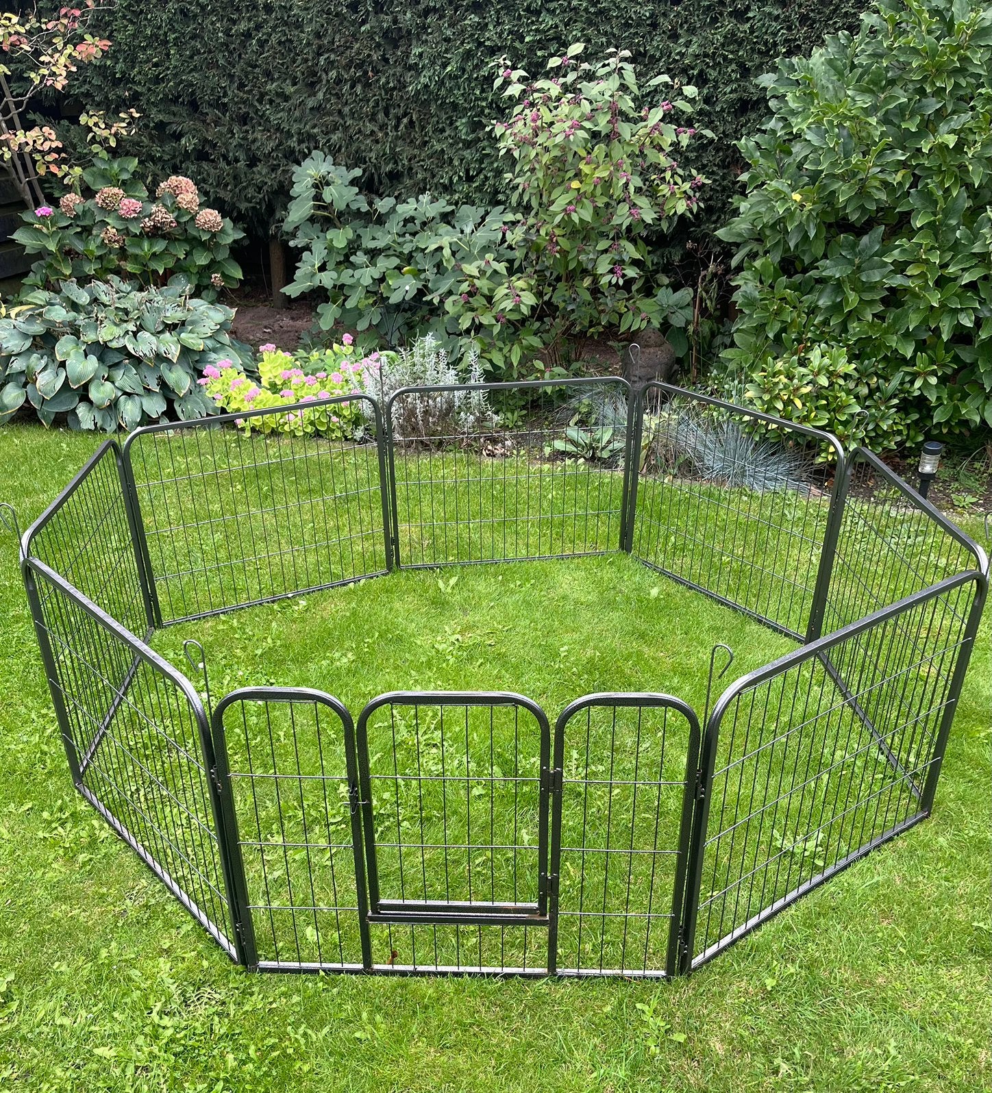 Puppyren (in doos), Dieren en Toebehoren, Ophalen, Hondenkennel, 110 cm of meer, Minder dan 65 cm
