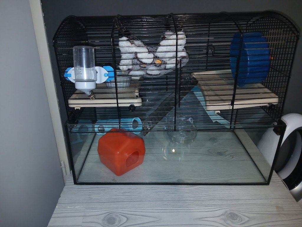 hamsterkooi met vele extra's, Dieren en Toebehoren, Kooi, Gebruikt, Ophalen, Minder dan 60 cm