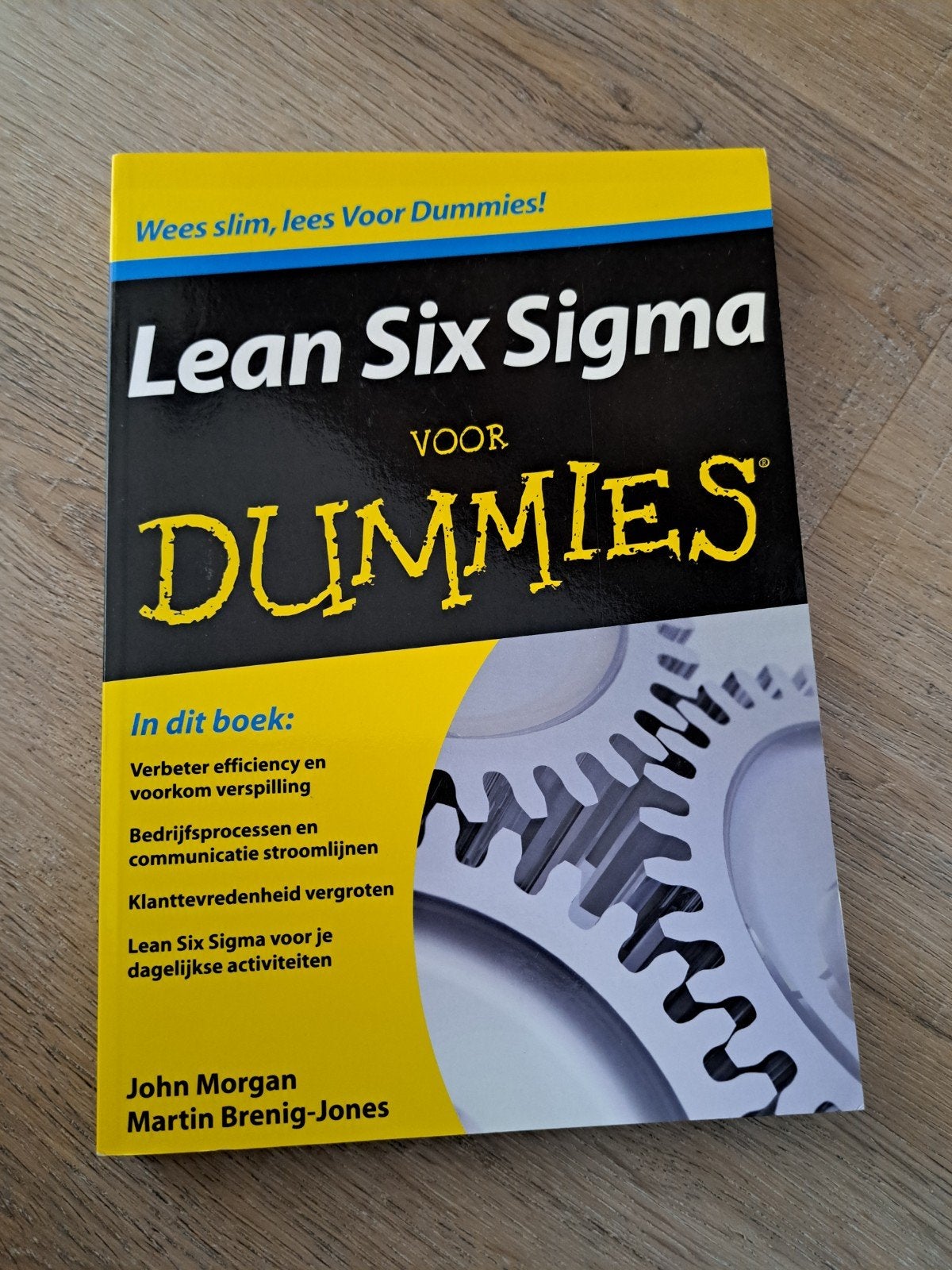 Lean Six Sigma voor Dummies - Verbeter bedrijfsprocessen, Boeken, Zo goed als nieuw, Gamma, John Morgan, Martin Brenig-Jones, HBO