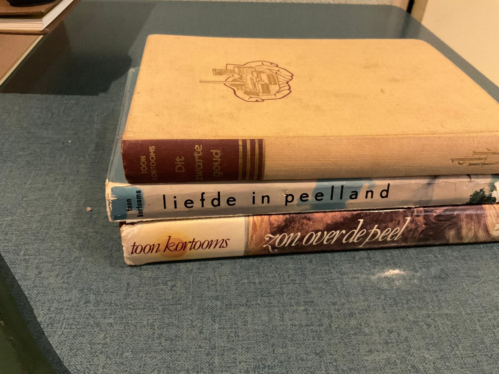 Toon Kortooms, Ophalen of Verzenden, Gelezen, Noord-Brabant