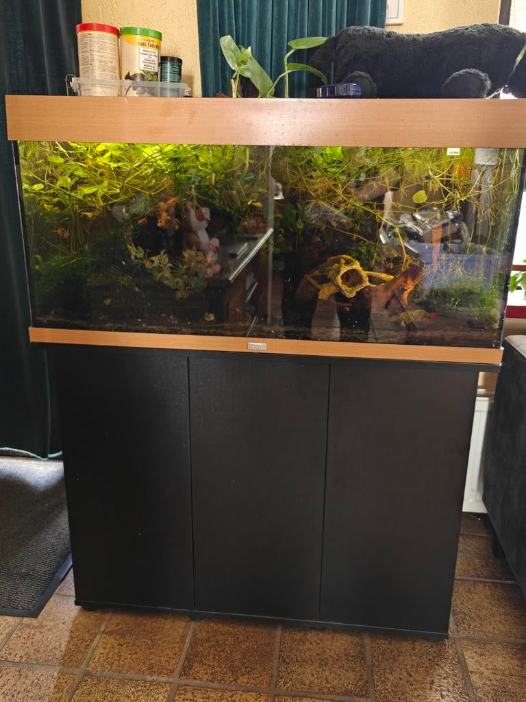 Groot juwel aquarium met onderkast, Dieren en Toebehoren, Ophalen, Gevuld zoetwateraquarium