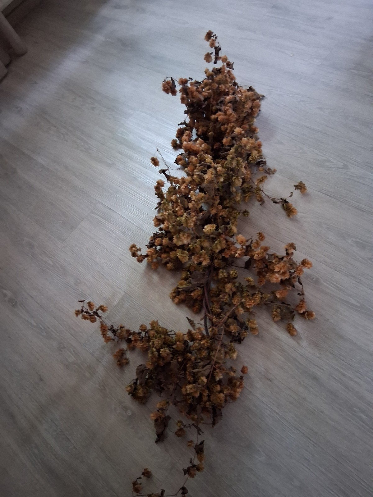 Gegrote Tak met gedroogde Hop 1.20, Ophalen