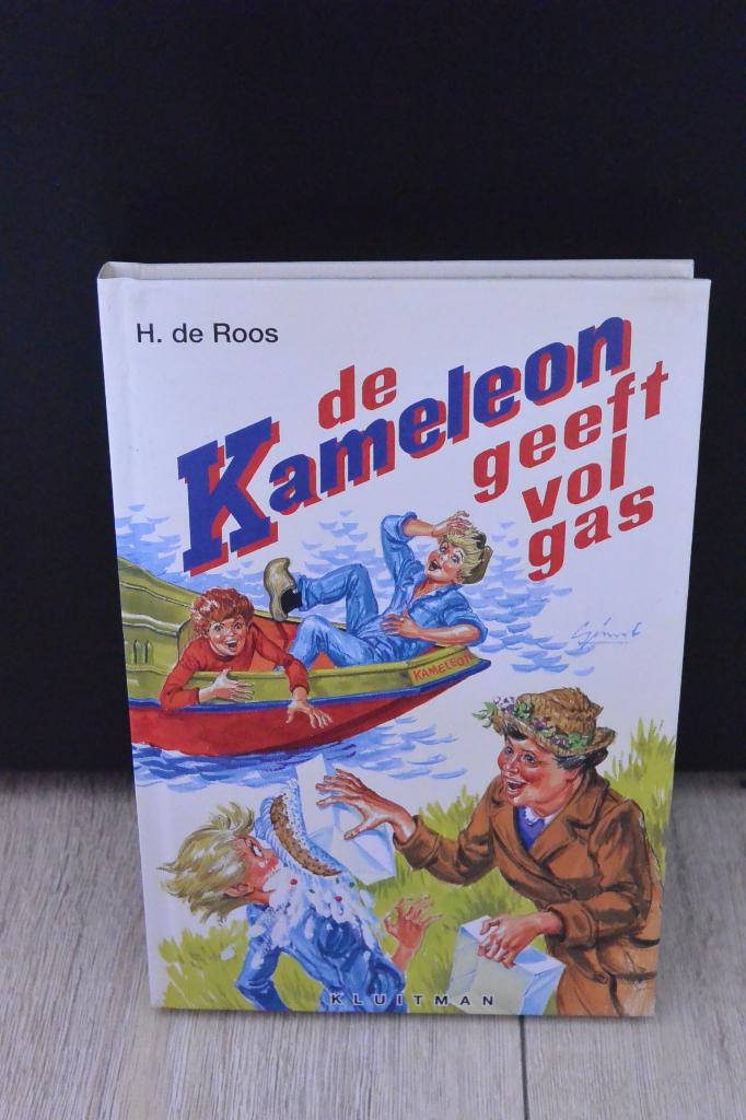Boek De kameleon geeft vol gas - H. de Roos, Ophalen of Verzenden, Gelezen, H. de Roos, Fictie algemeen