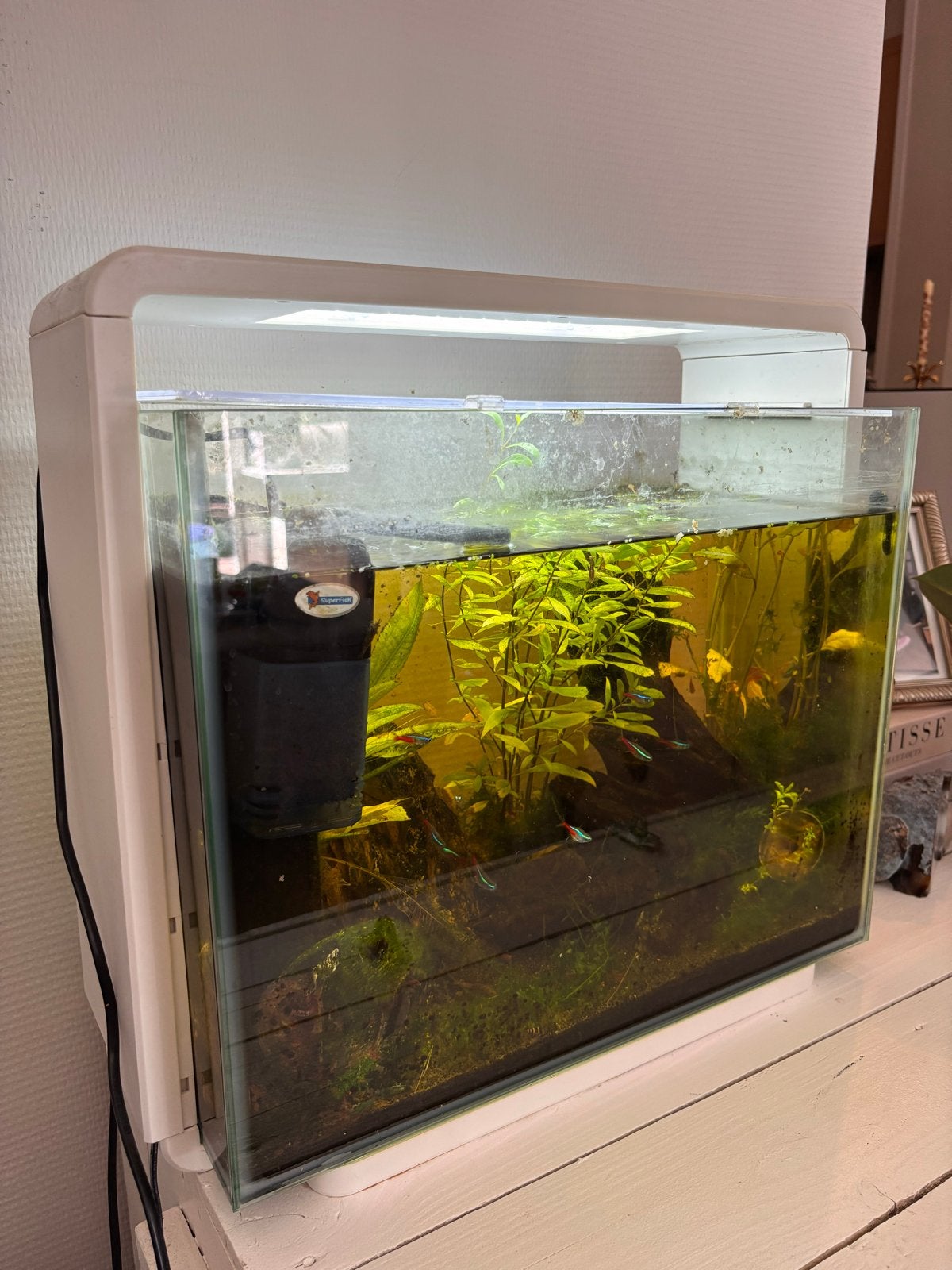 Aquarium + accessoires vissen garnalen algeneter pomp, Ophalen, Gebruikt, Gevuld zoetwateraquarium, Superfish