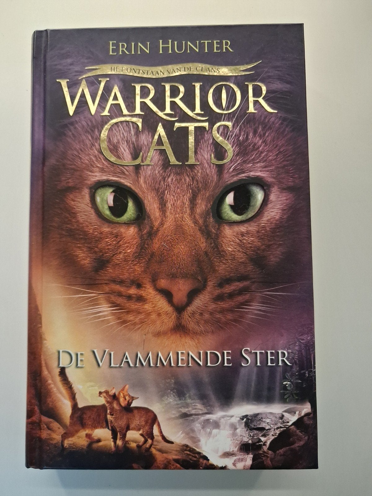 Warrior Cats serie I, II en IV 1,2,4 Erin Hunter, Boeken, Ophalen of Verzenden, Zo goed als nieuw, Erin Hunter