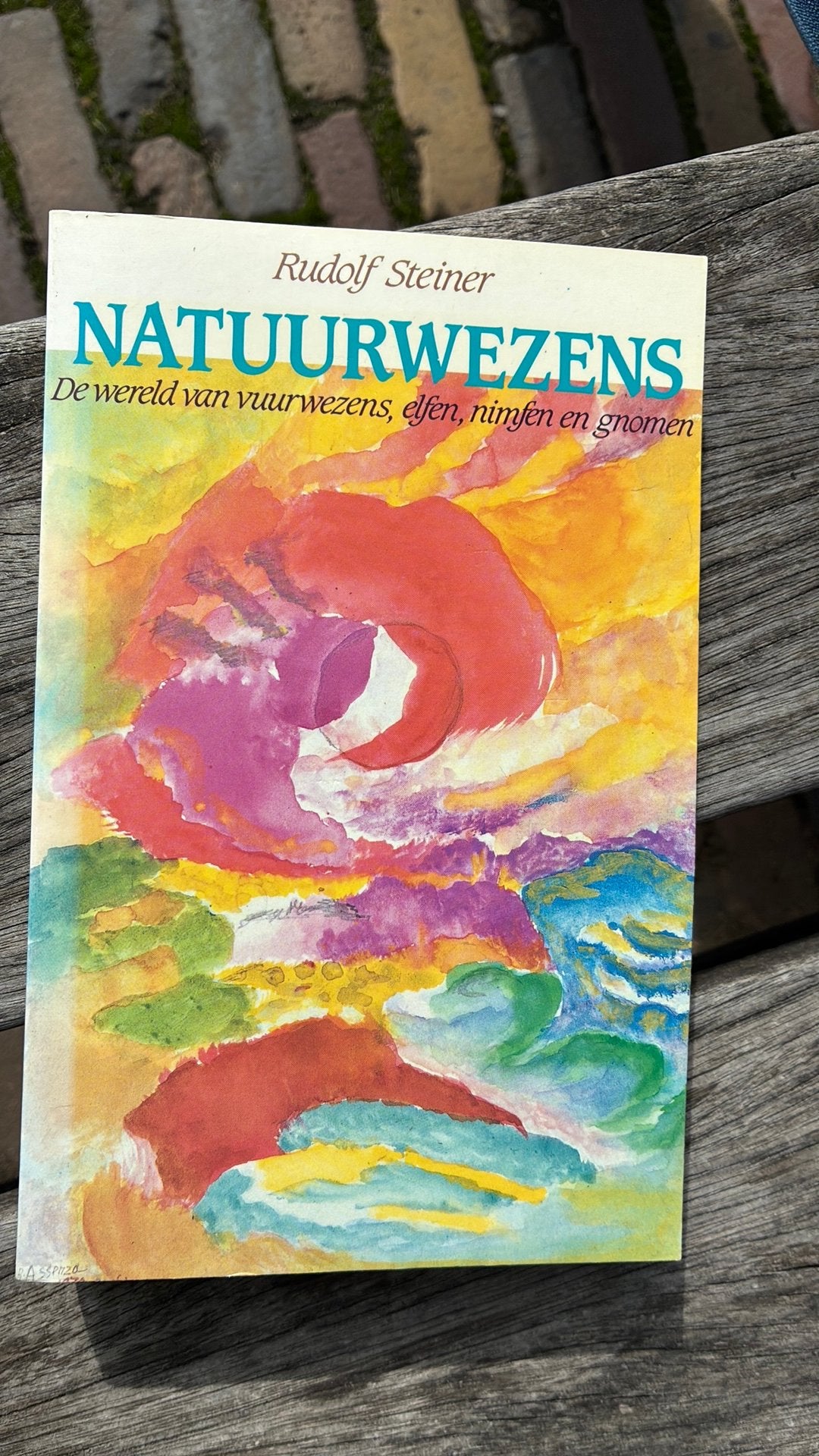 Rudolf Steiner - Natuurwezens, Achtergrond en Informatie, Spiritualiteit algemeen, Ophalen of Verzenden, Zo goed als nieuw