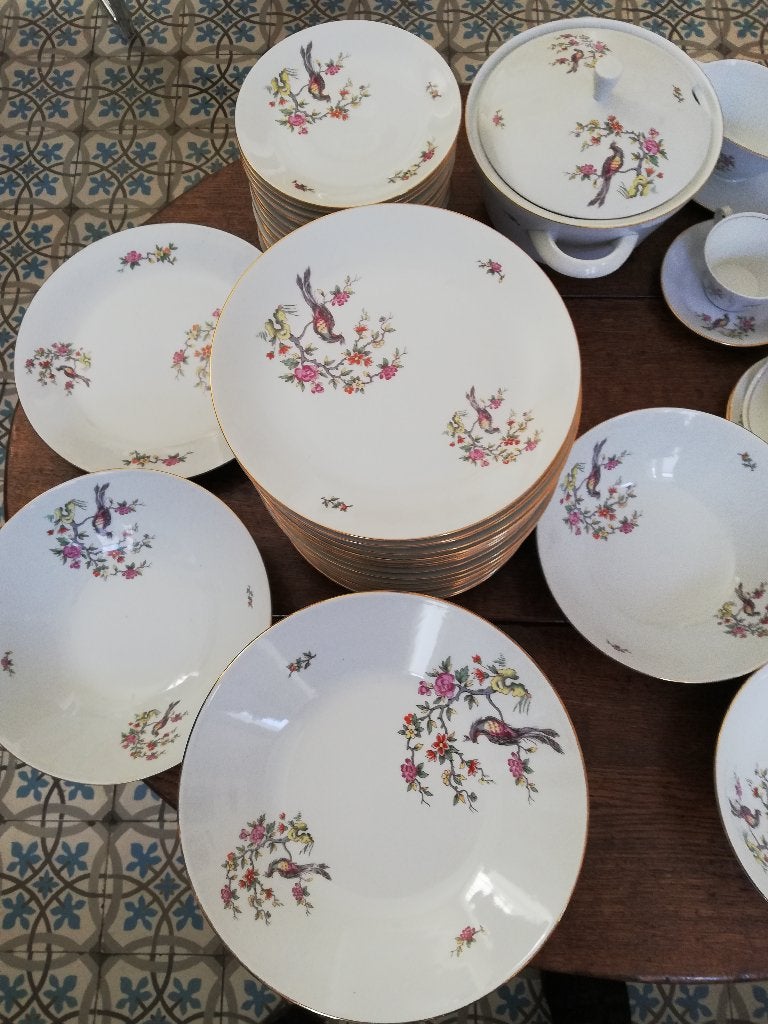 18 pers servies paradijsvogel Vintage VEEL BORDEN
