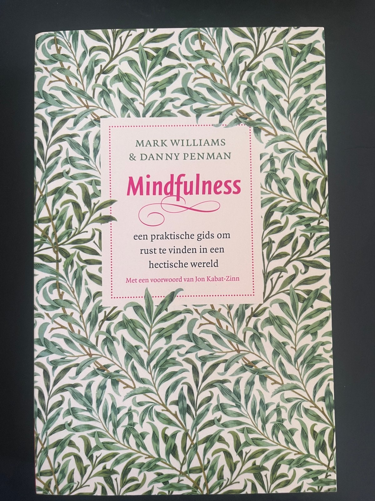 Mark Williams - Mindfulness, Boeken, Ophalen of Verzenden, Zo goed als nieuw, Mark Williams; Danny Penman
