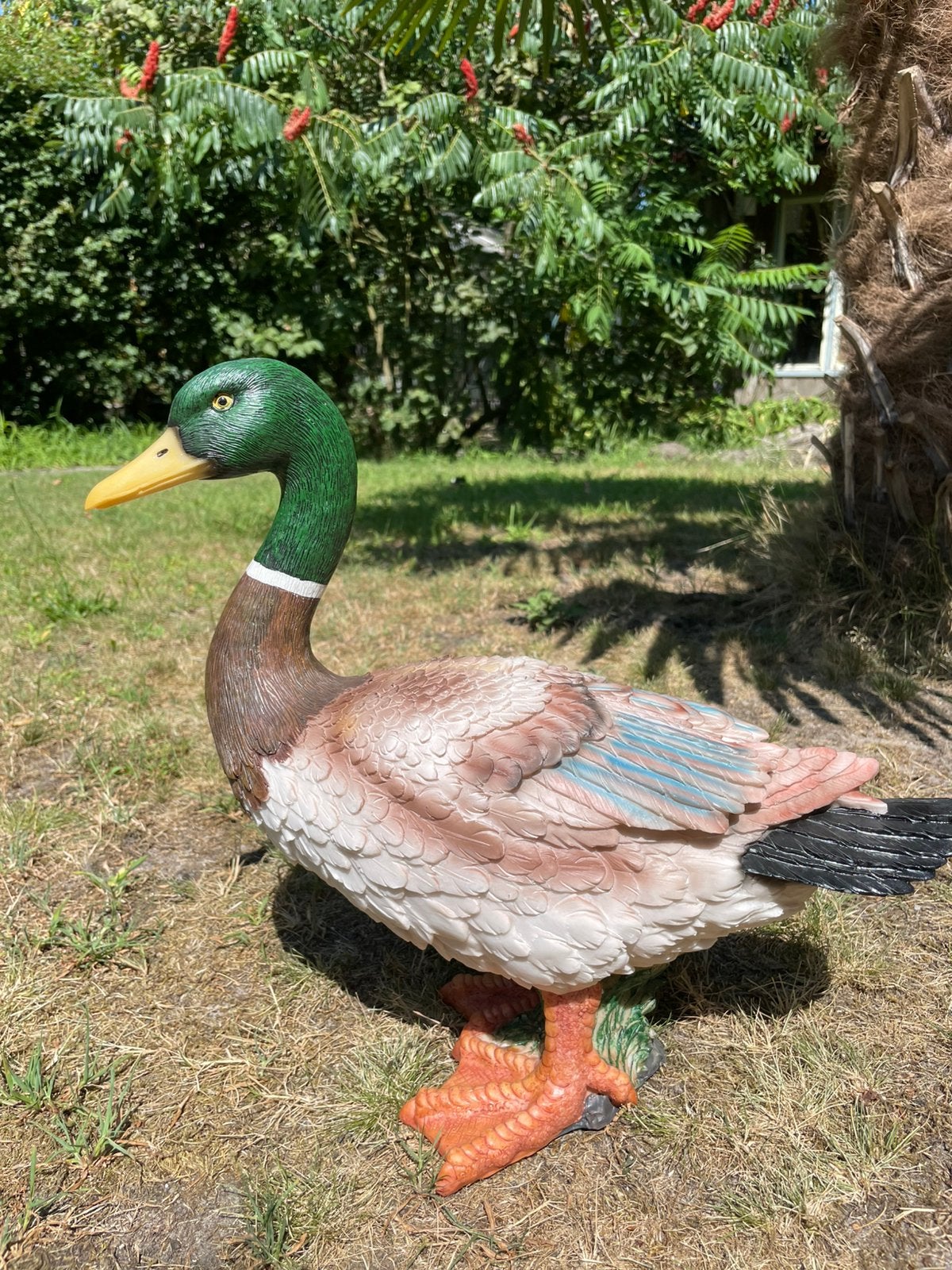 Eend beeld tuin vijver zwembad terras jacuzzi, Ophalen, Kunststof