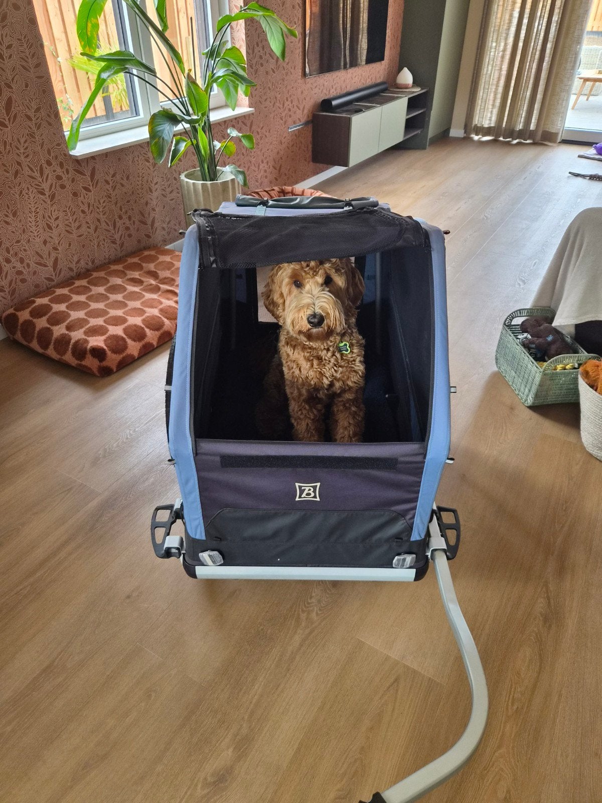 Hondenfietskar Bark Ranger XL Burley, Ophalen, Zo goed als nieuw, Hondenfietskar