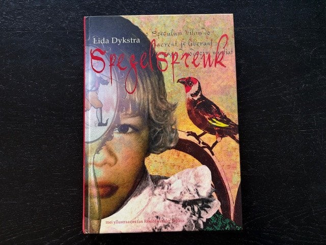 Lida Dykstra - spegelspreuk - Fries, Boeken, Ophalen of Verzenden, Zo goed als nieuw