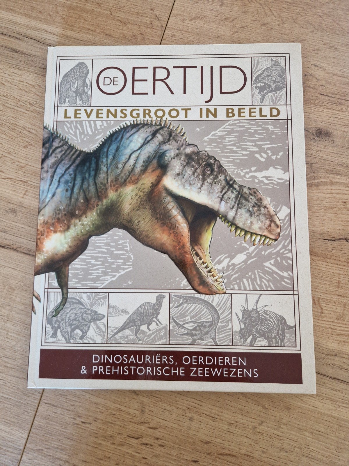De Oertijd Levensgroot in Beeld - Dinosauriërs, Ophalen of Verzenden, Gelezen, Gottmer, Non-fictie
