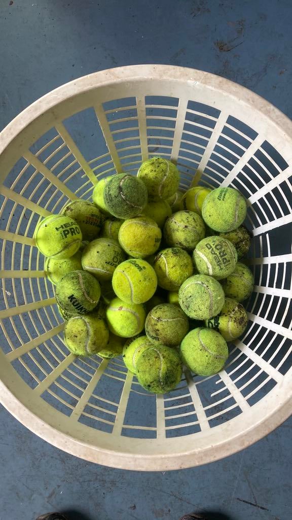 50 gebruikte tennisballen, Sport en Fitness, Tennis, Overige merken, Gebruikt, Ballen, L00