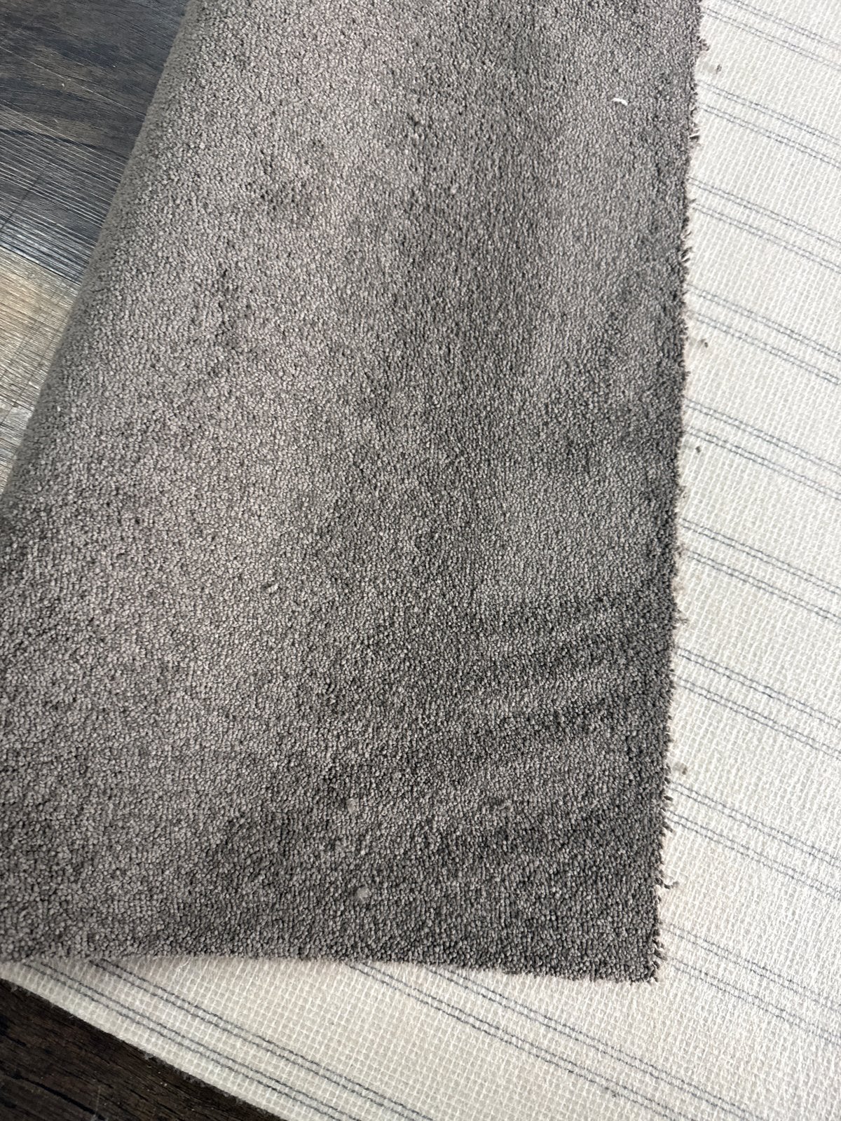 Nieuw Coupon Bruin Tapijt op Rol - 5,25x4m opruiming op=op, Ophalen, Nieuw, Bruin, 200 cm of meer