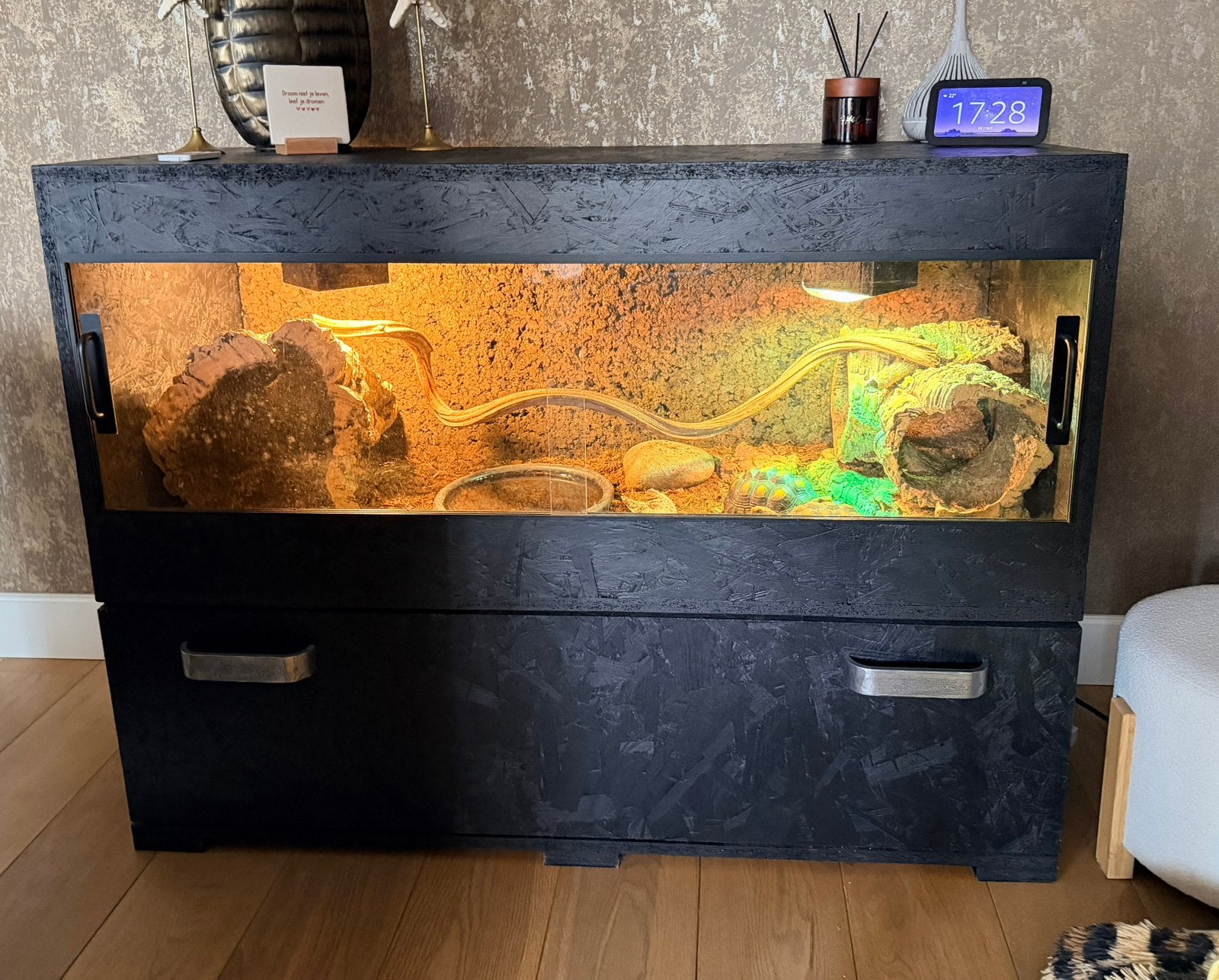 Osb terrarium met 2 kolenbrander landschildpadden, Dieren en Toebehoren, Ophalen, Gebruikt, Terrarium of Paludarium