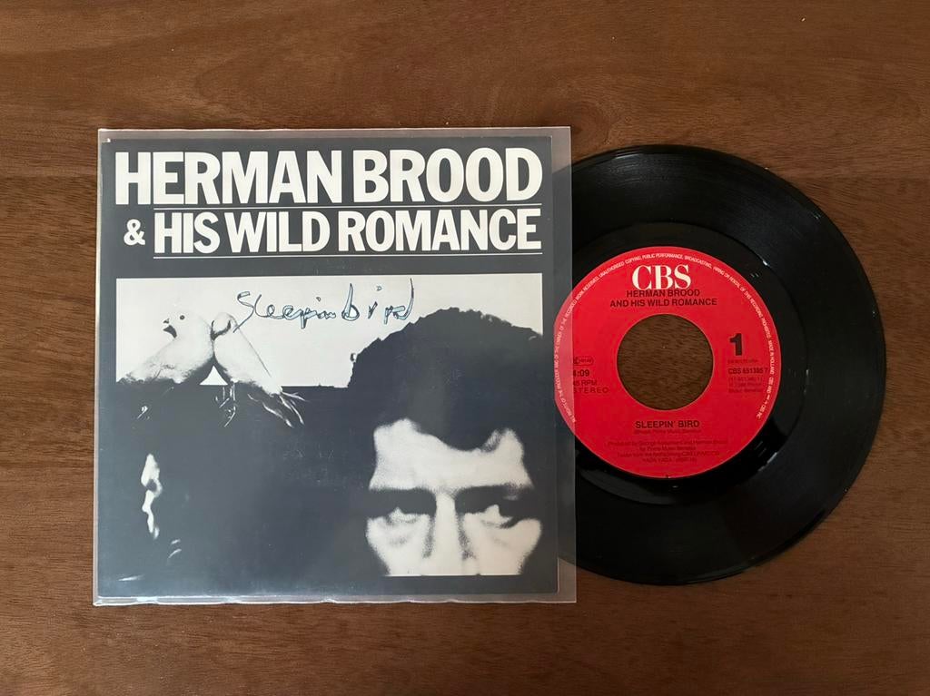 Herman Brood - Sleepin’ bird, Ophalen of Verzenden, Pop, Single