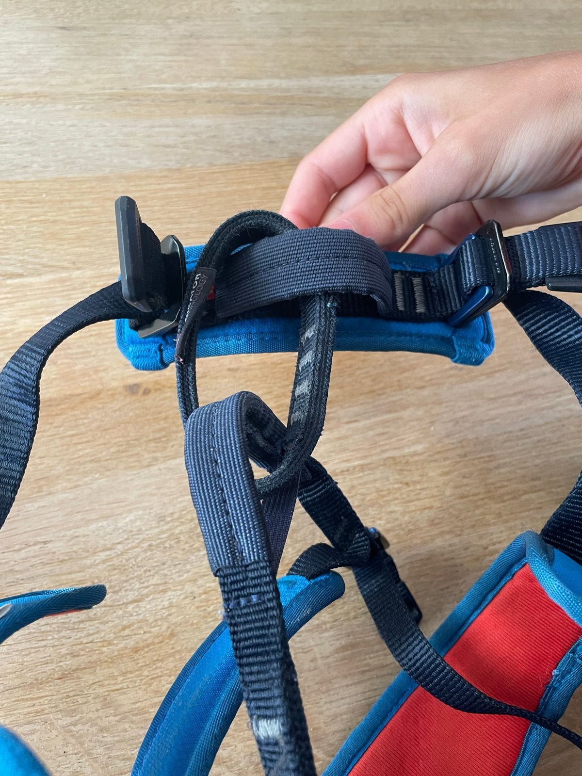 Mammut kids Klimtuigje, Ophalen of Verzenden, Gebruikt, Klimsport-accessoire