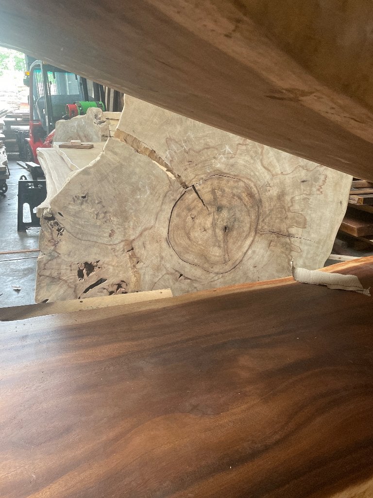 Mango boomschijven 130/140cm, Ophalen, Nieuw, Hout
