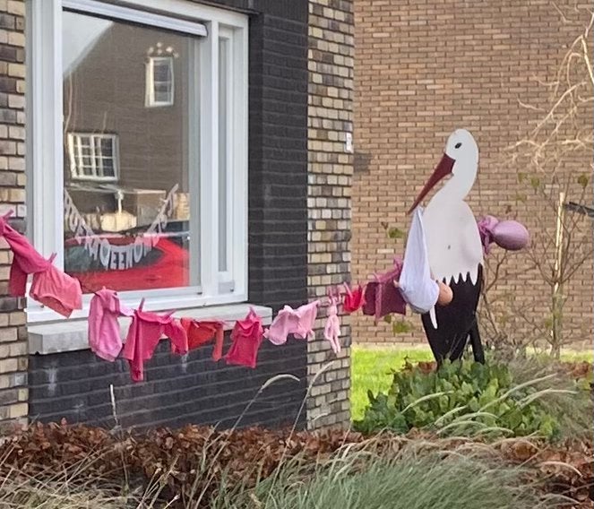 Geboorte ooievaar bord met feestlijn te huur, Ophalen
