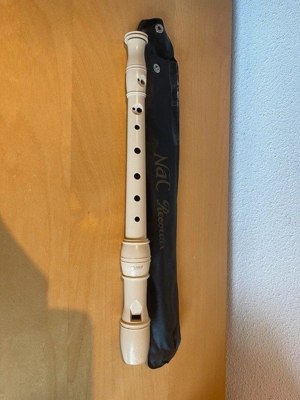 NAC Recorder blokfluit beige met originele hoes, Ophalen of Verzenden, Gebruikt, Sopraan of Sopranino, Kunststof