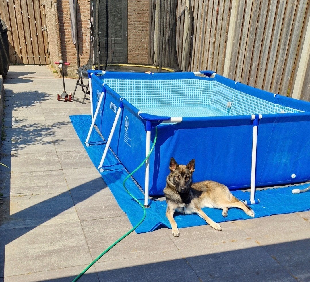 Intex frame zwembad 3m x 2m x 0,75m compleet, Ophalen, Gebruikt, Opzetzwembad, Rechthoekig