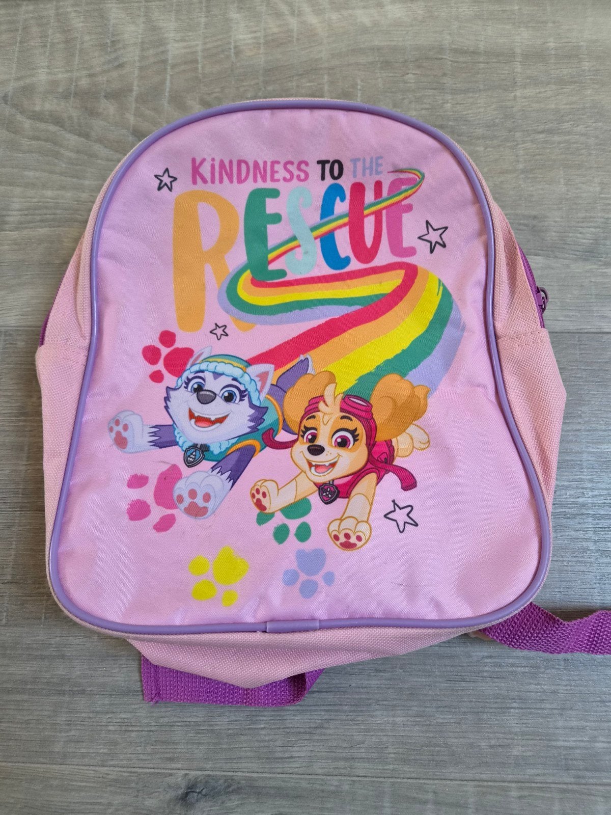 Paw Patrol Rugzak - Roze met Skye en Everest, Ophalen, Gebruikt