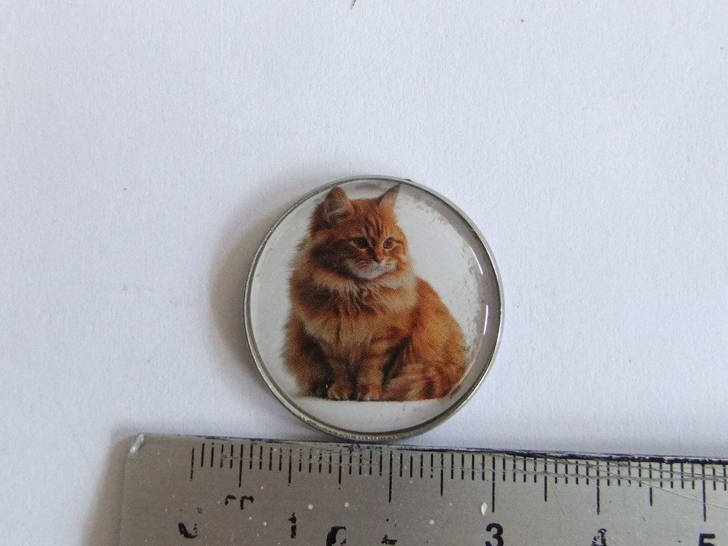 pin of speldje rode main cone kat, Verzenden, Nieuw, Overige onderwerpen