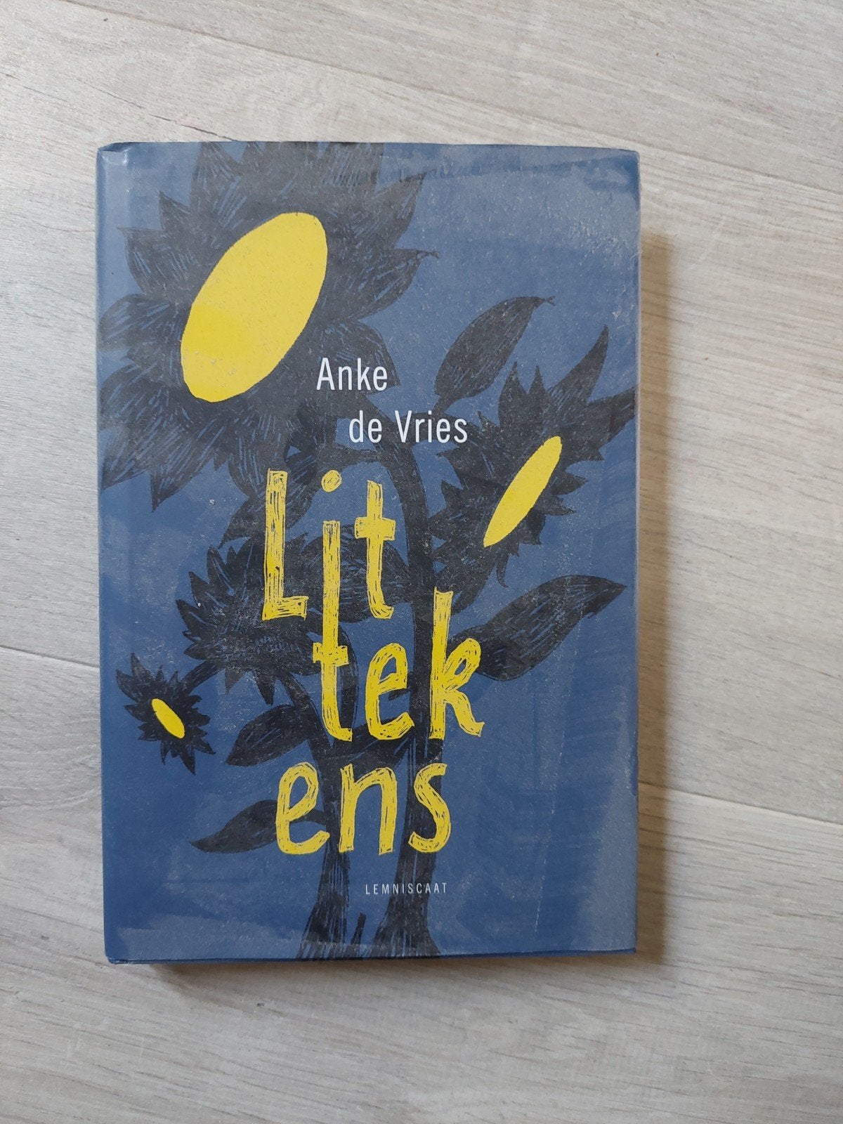Lit tek ens - Anke de Vries (Jeugdboek), Ophalen of Verzenden, Gelezen, Anke de Vries, Nederland
