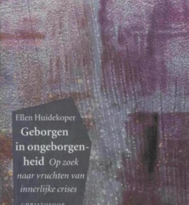 Geborgen in ongeborgenheid, Ophalen of Verzenden, Zo goed als nieuw, Ontwikkelingspsychologie
