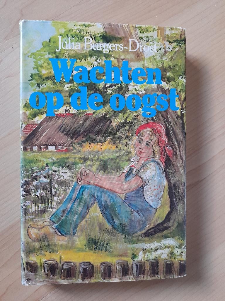 WACHTEN OP DE OOGST  Julia Burgers-Drost, Boeken, Ophalen of Verzenden, Gelezen, Nederland