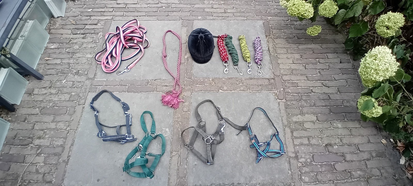 paarden, pony spullen, Ophalen of Verzenden, Pony