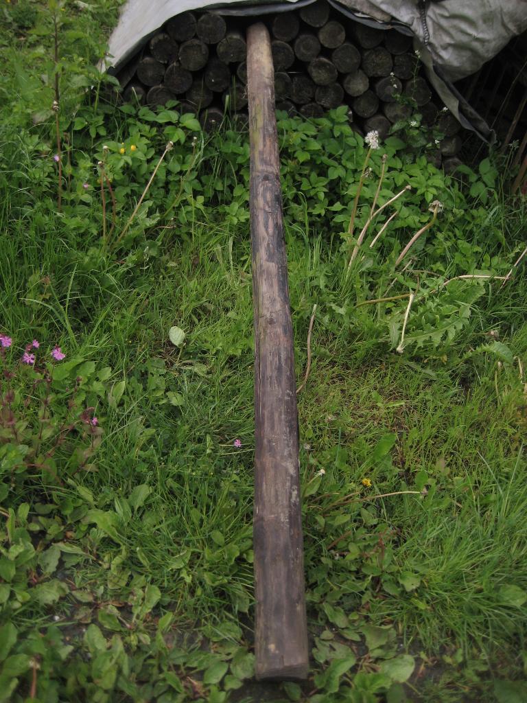 palen gaas, Ophalen of Verzenden, Zo goed als nieuw, 180 tot 250 cm, Palen