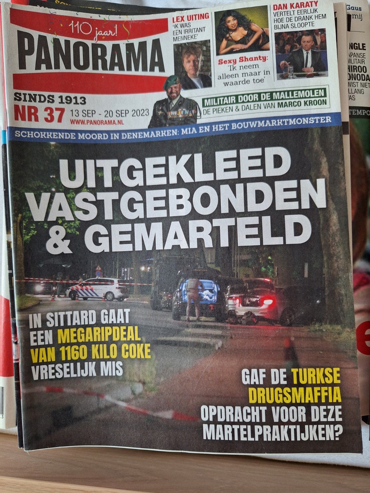 50 oude jaargangen Panorama tijdschriften, Ophalen of Verzenden, Gelezen, Overige typen