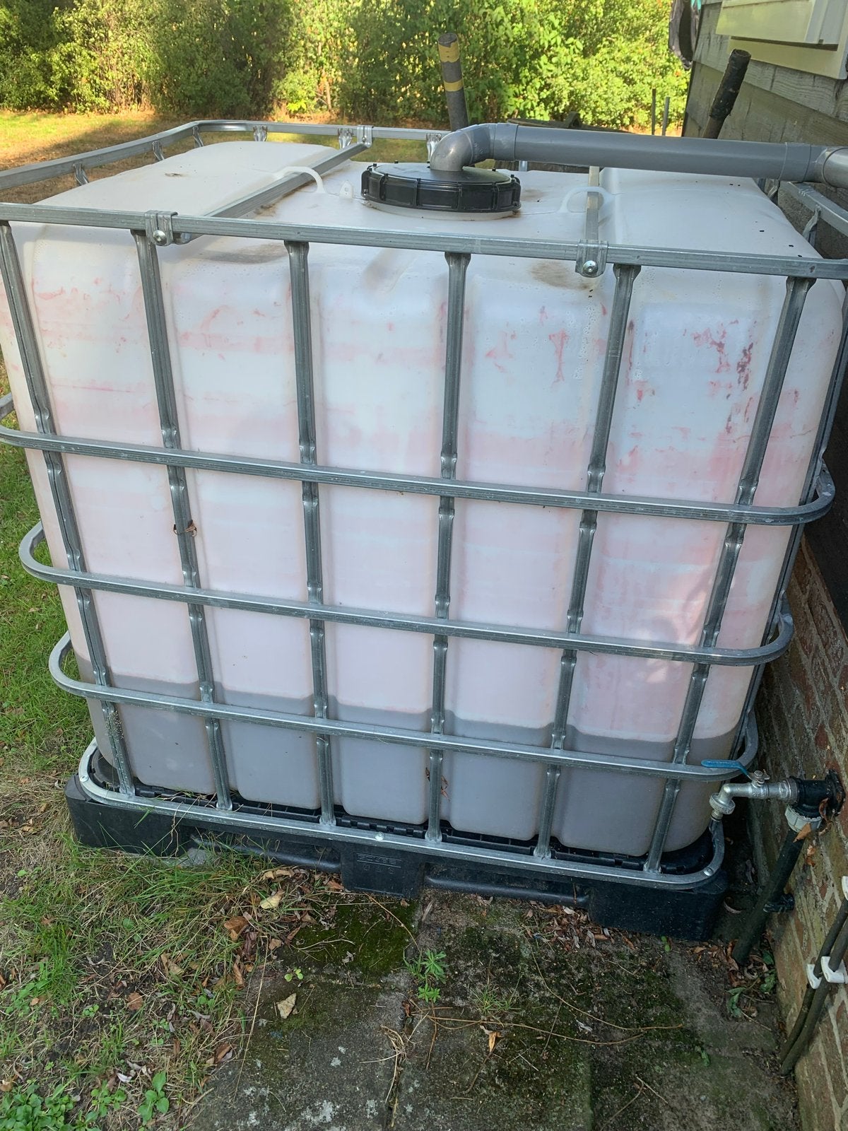 IBC-loop container voor regenwateropvang met kraan, 150 liter of meer, Ophalen, Gebruikt, Kunststof