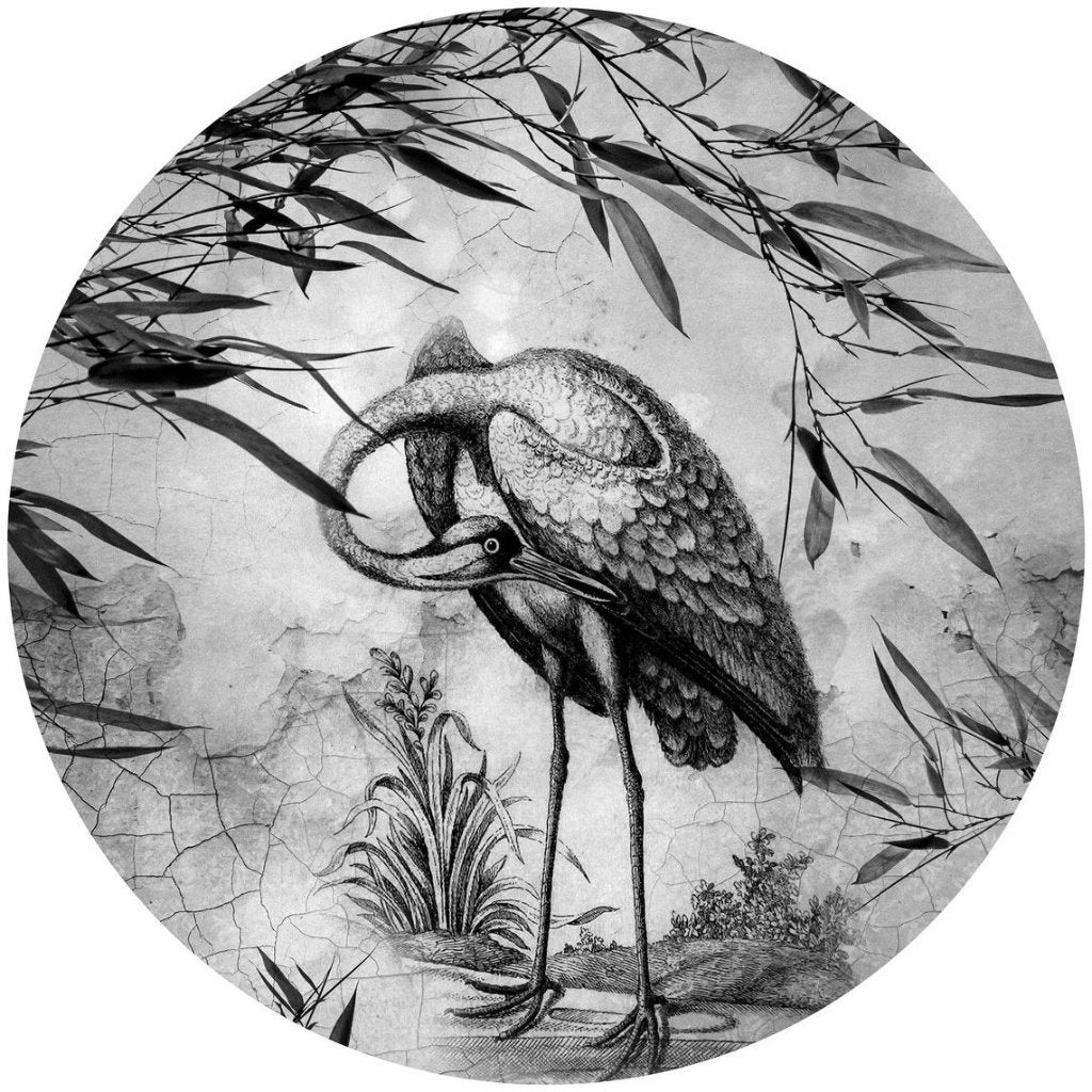 Behangcirkel Kraanvogel, Muurcirkel vogel | Fotobehang4you, Verzenden, Nieuw, Wandcirkel