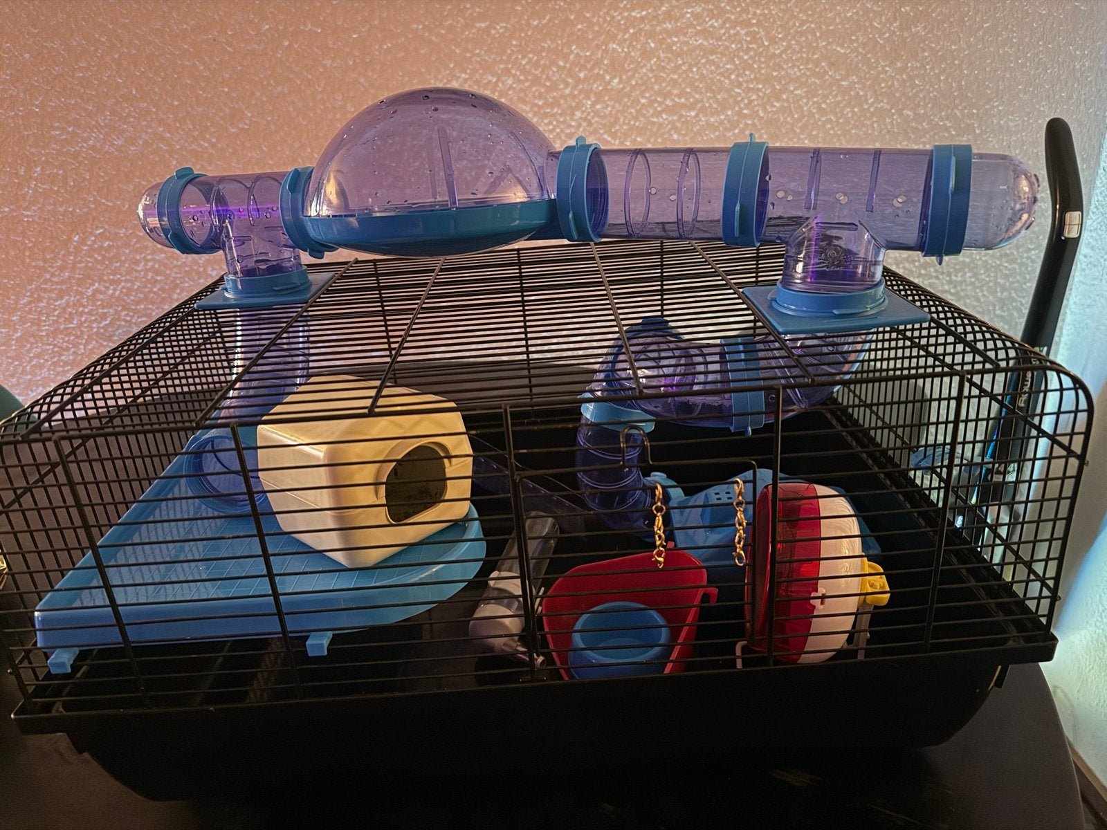 Hamster kooi met toebehoren, Dieren en Toebehoren, Kooi, Minder dan 75 cm, Zo goed als nieuw, Hamster