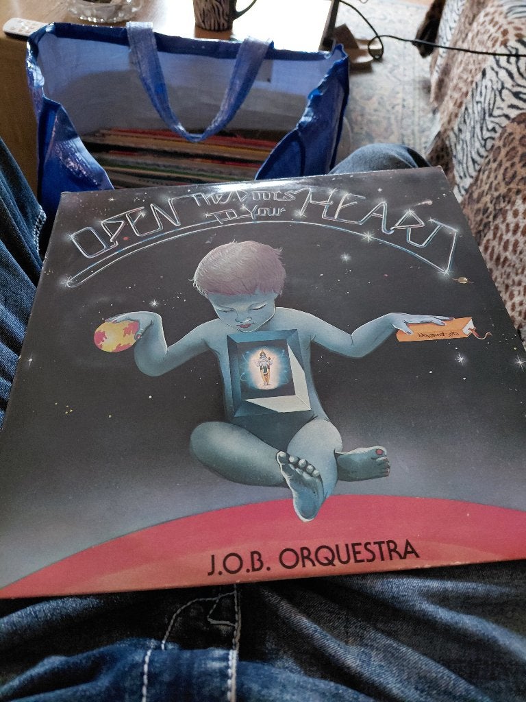 Verschillende lps te koop, Inclusief binnenhoes, Ophalen, Gebruikt, 12 inch