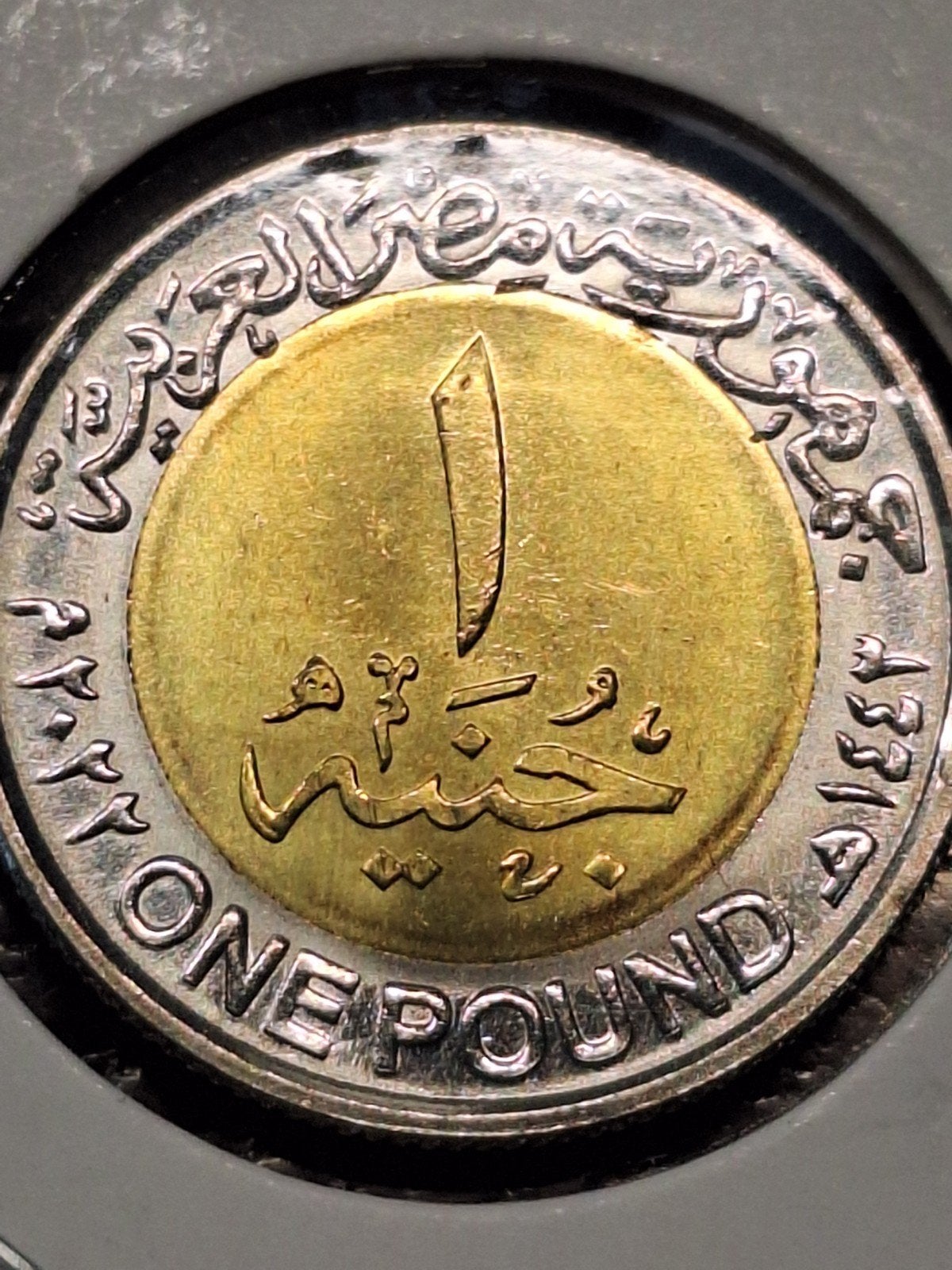 Egypte pond 2022, Ophalen of Verzenden, Egypte
