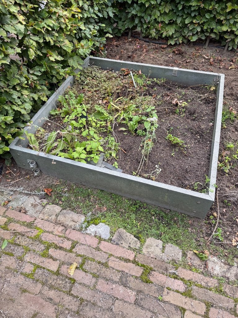 Moestuin bak (makkelijke moestuin), Ophalen, 100 cm of meer, Vierkant, Zo goed als nieuw