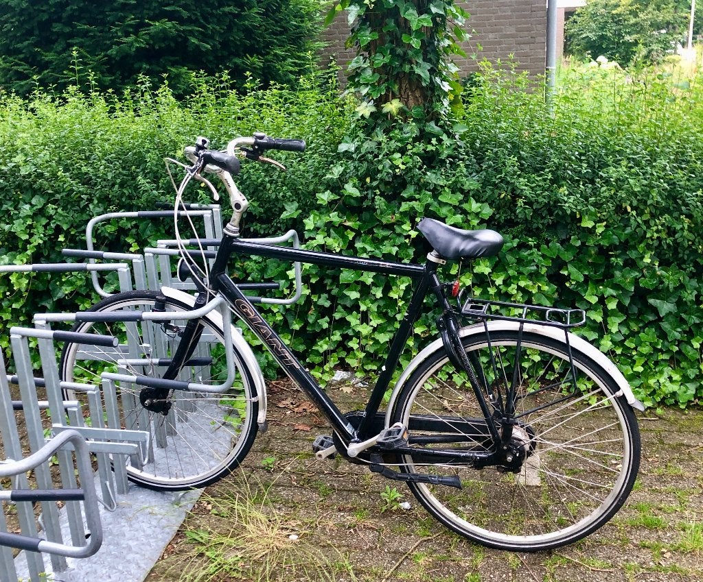 Giant City Bike 28" 56cm, Ophalen, Gebruikt, Velgrem, Versnellingen
