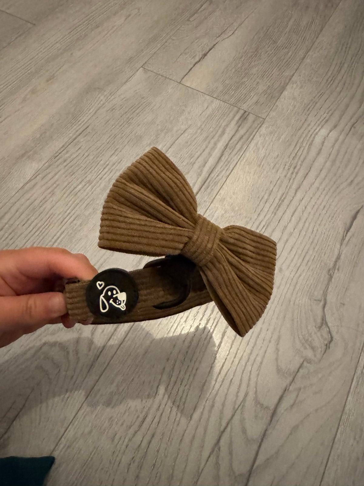 Halsband voor honden, Ophalen of Verzenden, Nieuw