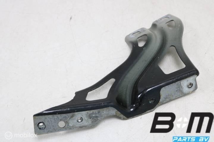 Spatschermsteun rechts Audi Q3 8U 8U0821136