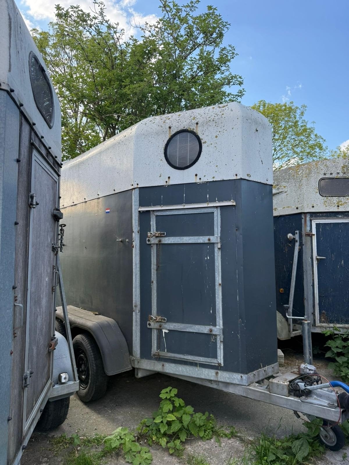 1 paards trailer, Ophalen, Gebruikt, Hout